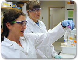 Biotech Scientists at Work