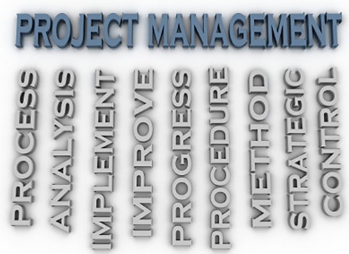 Project Manager_habits